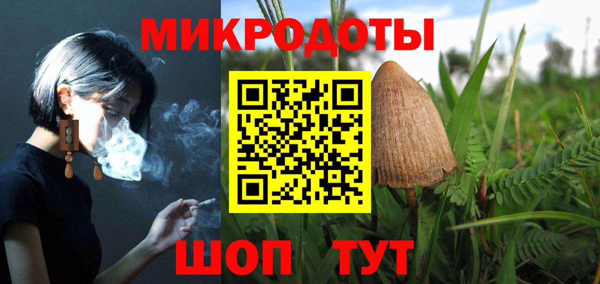 Псилоцибиновые грибы ЛСД Балашов